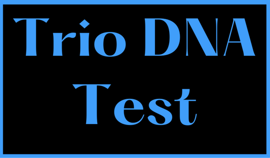 Trio DNA Test